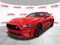 2019 Ford Mustang GT Fastback