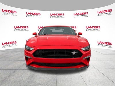 2019 Ford Mustang GT Fastback