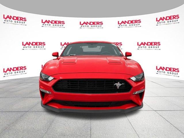 2019 Ford Mustang GT Fastback