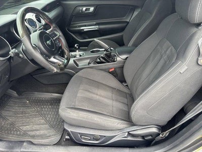 2019 Ford Mustang GT Fastback