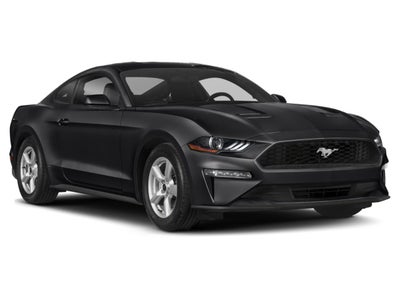 2019 Ford Mustang EcoBoost Fastback
