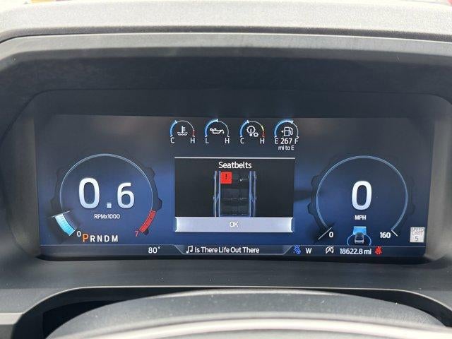 2024 Ford Expedition Platinum 4x4