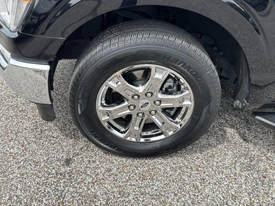 2023 Ford F-150 XL 2WD SuperCrew 5.5' Box