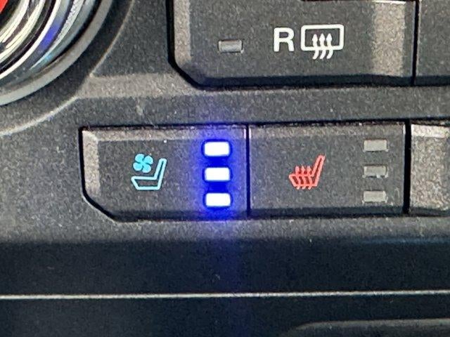 2019 Ford F-150 Limited 4WD SuperCrew 5.5' Box