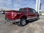 2013 Ford F-150 4WD SuperCrew 5-1/2 Ft Box XLT