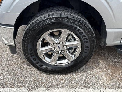2024 Ford F-150 XLT 4WD SuperCrew 5.5' Box