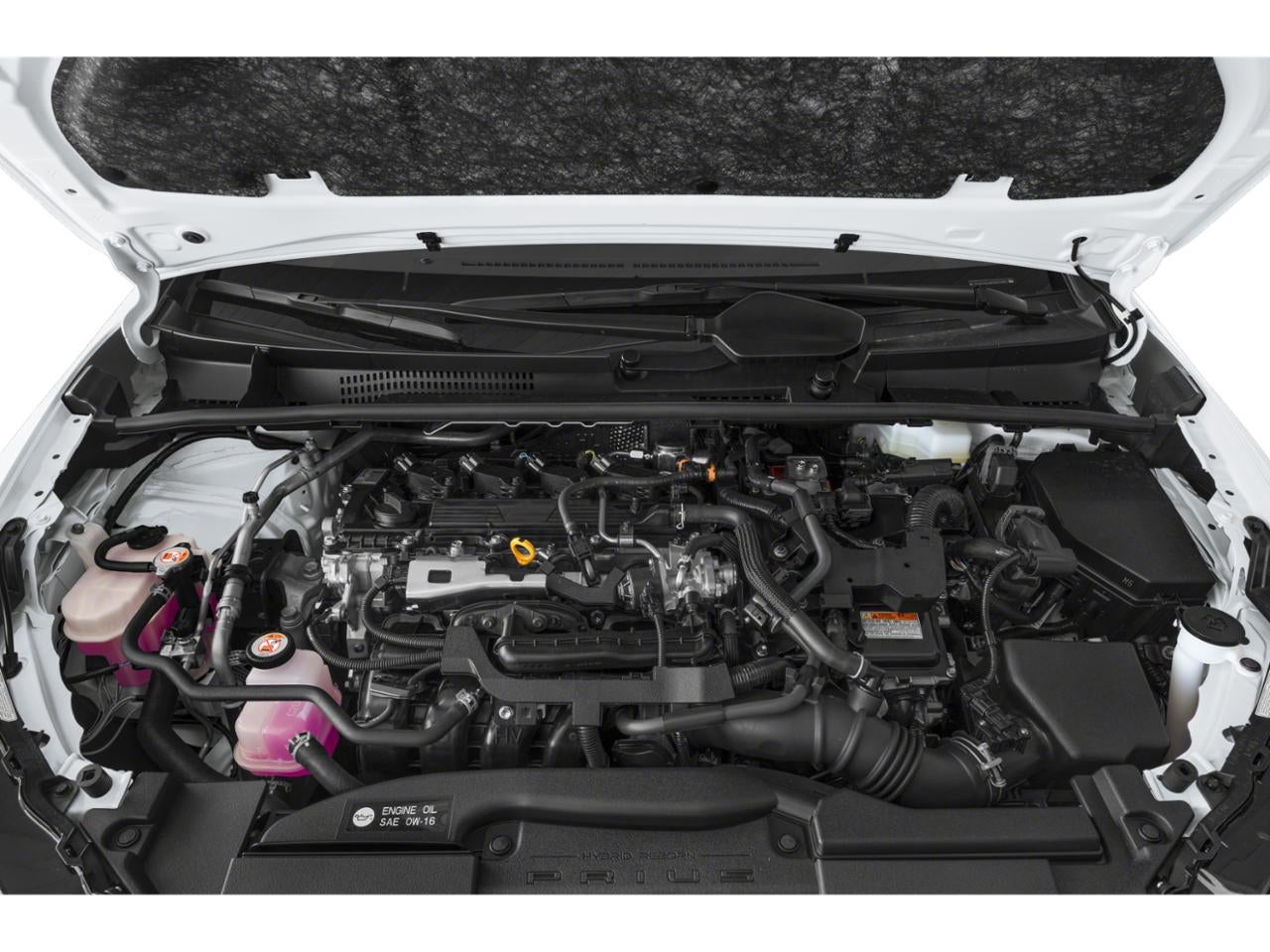 2024 Toyota Prius LE (Natl)