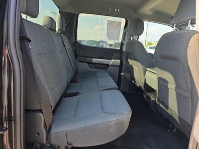 2025 Ford F-150 XLT 4WD SuperCrew 5.5' Box