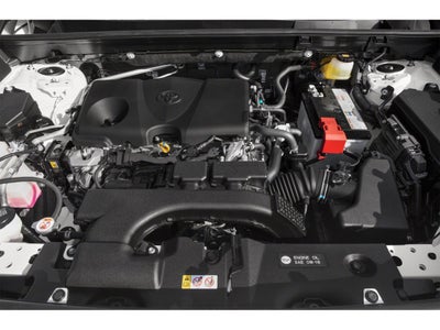 2019 Toyota RAV4 XLE FWD (Natl)