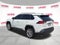 2024 Toyota RAV4 XLE Premium FWD (Natl)