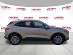 2020 Ford Escape SE FWD