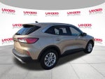 2020 Ford Escape SE FWD